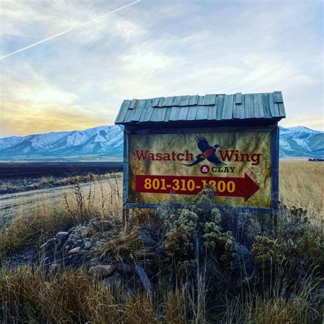 Wasatch Wing and Clay