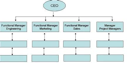 Functional Structure of Organization 的图像结果