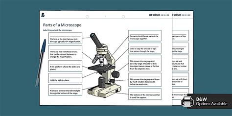 Parts of a Microscope Labelling Worksheet | Science | Beyond