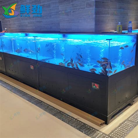 重庆鱼缸-海鲜池定做-重庆李鱼缸水族馆专业定做酒店商超大型鱼缸
