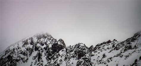 Image result for PBY Book