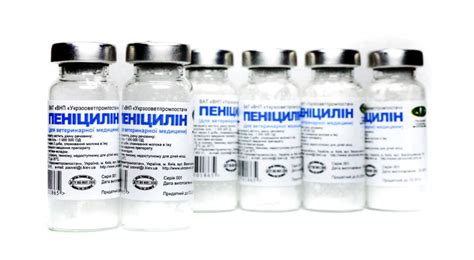 Пенициллин: инструкция применения порошка и таблеток