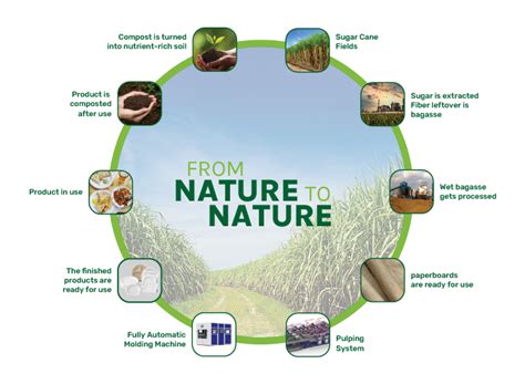 Process - Biguar Tech (India) Pvt. Ltd.