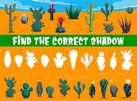 Find the correct desert cactus shadow kids game | Premium Vector