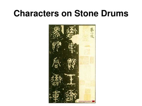 Tortoise Shell Characters 的图像结果