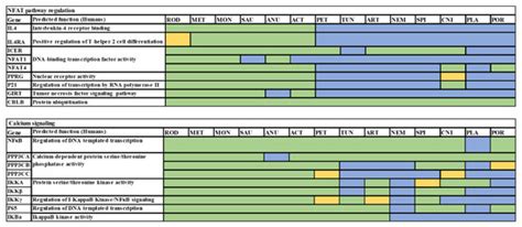 Investigation of the Molecular Evolution of Treg Suppression Mechanisms ...