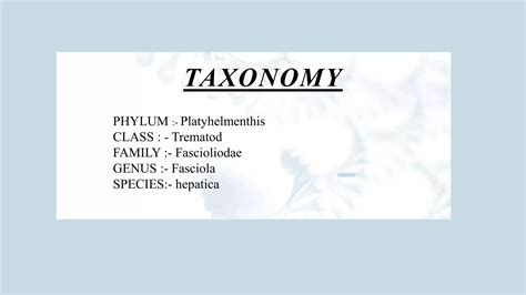 Fasciola hepatica.pptx
