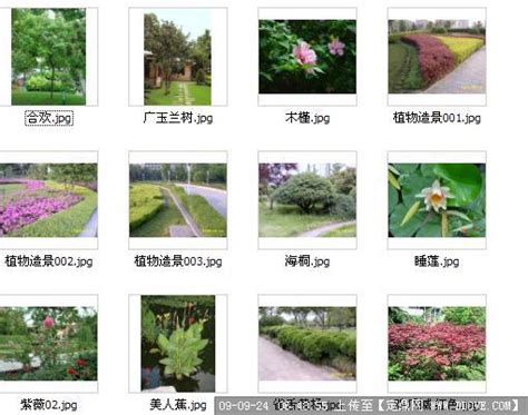 景观工程-园林绿化工程-北京天宏园林绿化养护有限公司