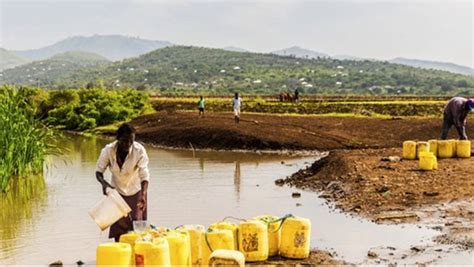 Agriculture in Africa 的图像结果