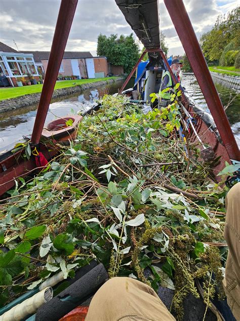 Image result for Python for Grill