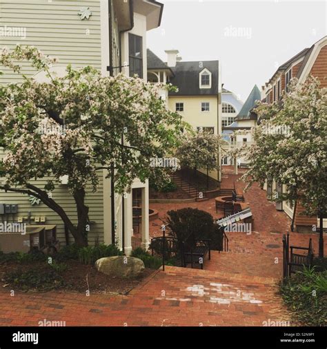 South hadley hi-res stock photography and images - Alamy