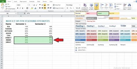 Image result for Excel Cell Formatting