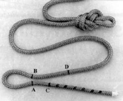 Image result for Splicing Double Braid