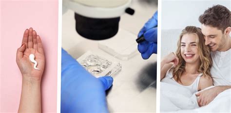 Image result for Fertility Maca Root