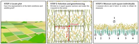Assimilation of Sentinel-2 Leaf Area Index Data into a Physically-Based ...