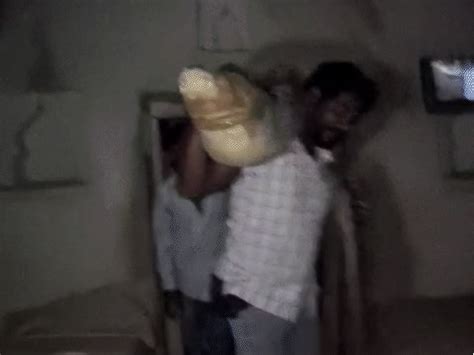 Man lifts crocodile from Kota house in daring rescue: Wildlife expert ...