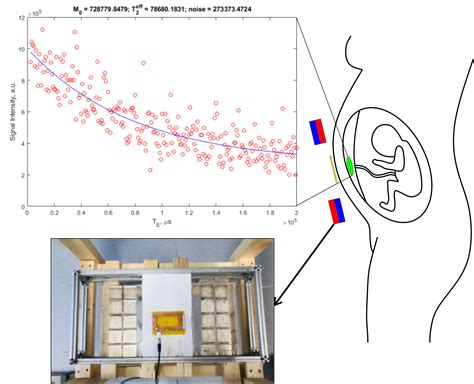 NMR CAPIBarA: Proof of Principle of a Low-Field Unilateral Magnetic ...