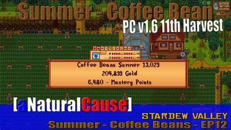 Stardew Valley - PC Edition v1.6 Summer Coffee Beans - Harvesting ...