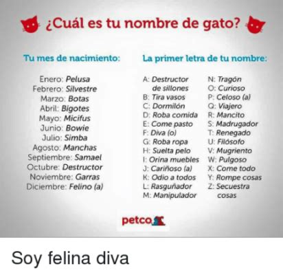 Vamos a jugar mamis | BabyCenter