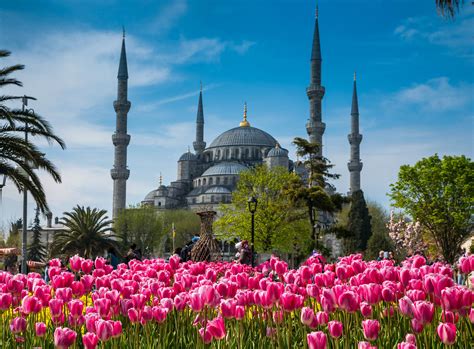 Blue Mosque - Istanbul Tour Studio – Istanbul Guide