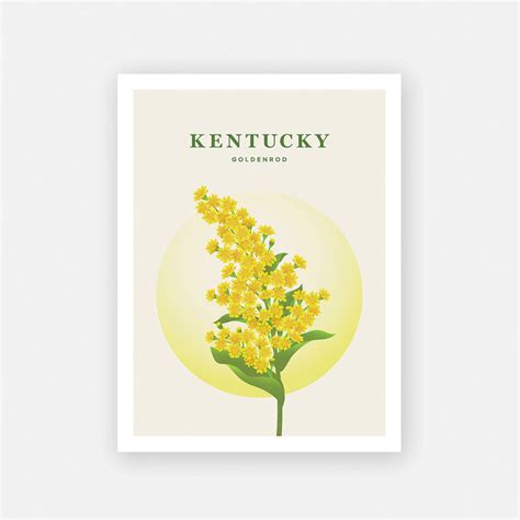 Kentucky Print - Kentucky State Flower Poster, Goldenrod Illustration ...