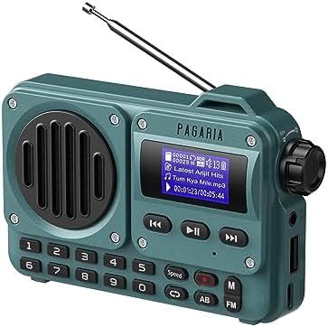 Pagaria Pocket FM Radio, 5 Watts with Bluetooth/USB/TF, Type C Charging ...