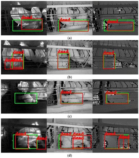 Dead Laying Hens Detection Using TIR-NIR-Depth Images and Deep Learning ...