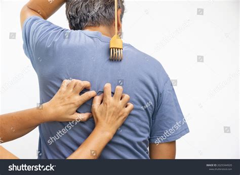 Scratch Back Strangers 的图像结果