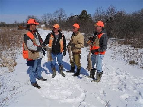 Image result for Rabbit Hunting without Dogs