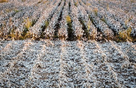 Death Records Search | Kaufman County, TX