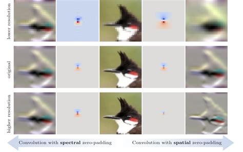 Filter Convolution 的图像结果