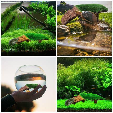 Homemaxs Turtle Platform Tortoise Basking Reptile Climbing India | Ubuy