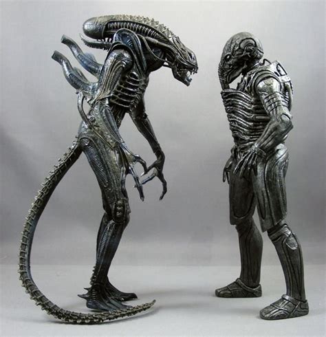Alien vs Engineer 的图像结果