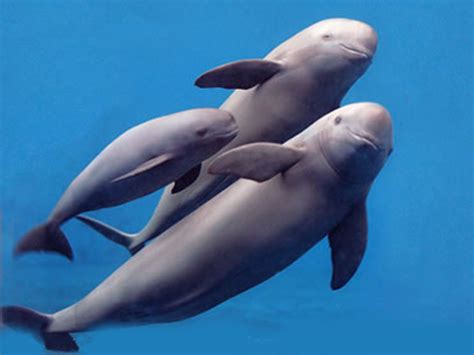 Image result for SQL String Begins With