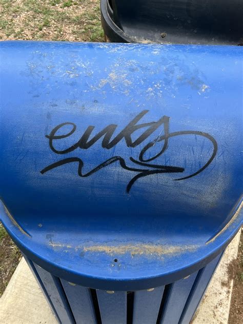 Image result for R Programming Basic Commands