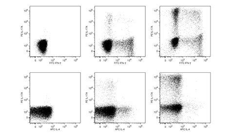 Human Th1/Th2/Th17 Phenotyping Kit
