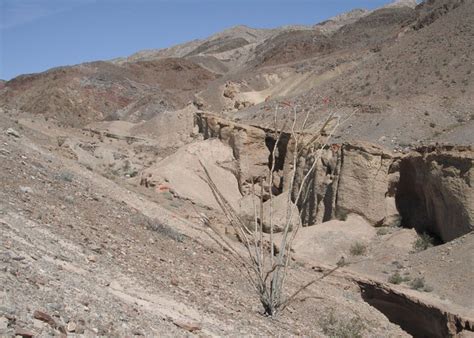 Ocotillo Tourism (2023): Best of Ocotillo, CA - Tripadvisor