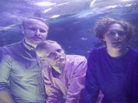 Image result for Instrument Building