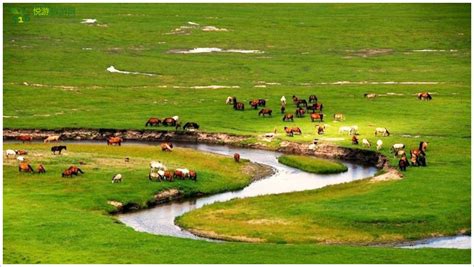 内蒙古的景点,重庆的景点,河南的景点_大山谷图库