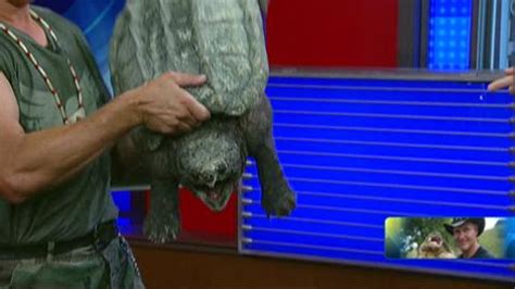 Image result for Man Getting Bit by Snapping Turtle