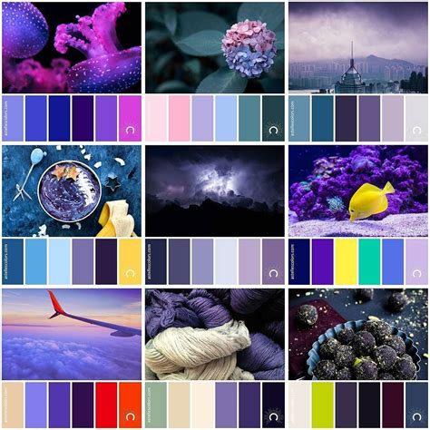 Image result for Color Scheme Examples with Violet