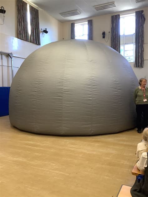 Image result for Infinity Elephants