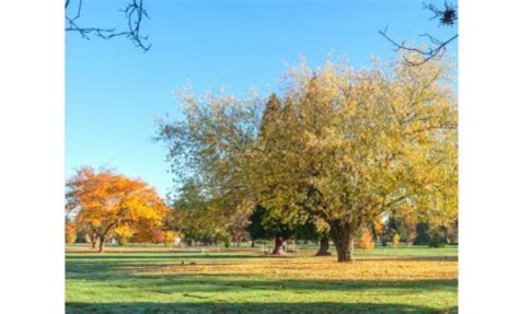 Moles Farewell Tributes & Crematory-Greenacres Memorial Park Obituaries ...