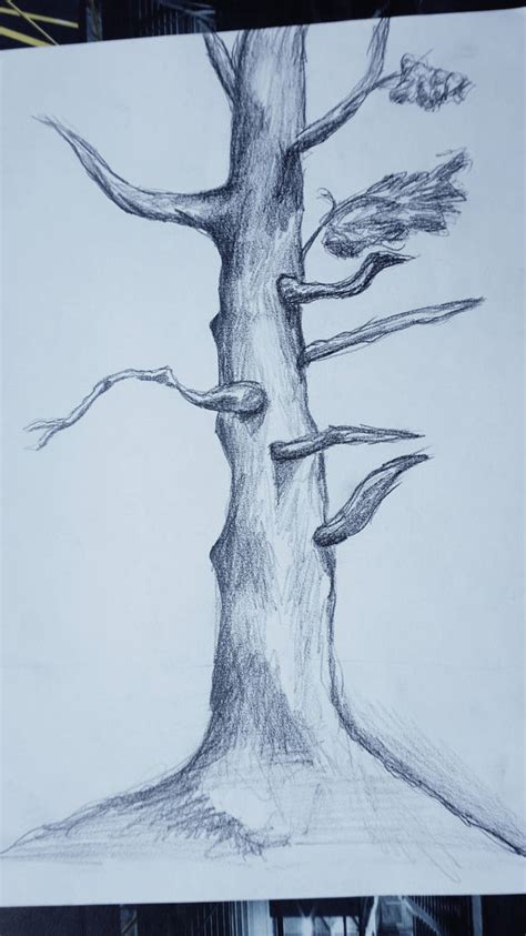 Image result for Drawing Using Perspective