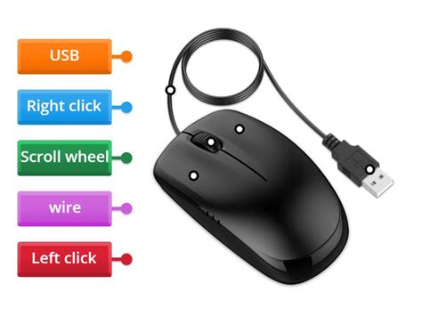 Image result for Part of Computer Mouse