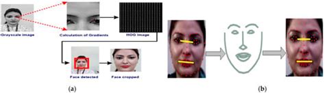 Real-Time Facial Emotion Recognition Framework for Employees of ...