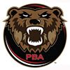 Image result for PBA Wolf 32 Pattern