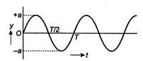 A particle executes SHM of amplitude A. If T1 and T2 are the times ...