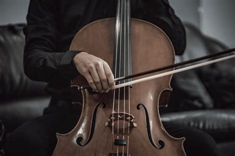 Cello String Set Up 的图像结果