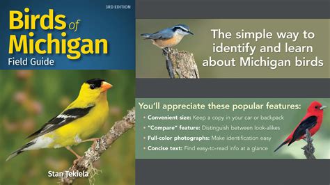 Birds of Michigan Field Guide (Bird Identification Guides) - SPN